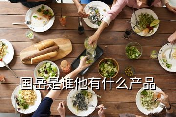 國岳是誰他有什么產(chǎn)品