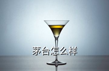 茅臺怎么樣