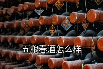 五糧春酒怎么樣