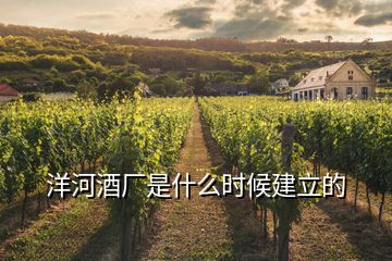 洋河酒廠(chǎng)是什么時(shí)候建立的