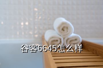 谷客6645怎么樣