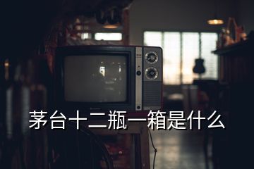 茅臺十二瓶一箱是什么