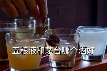 五糧液和茅臺哪個酒好