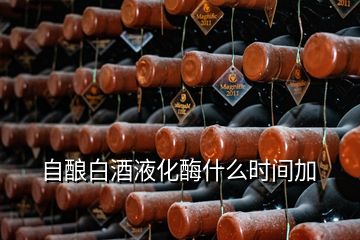 自釀白酒液化酶什么時(shí)間加