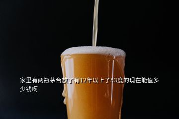 家里有兩瓶茅臺放了有12年以上了53度的現(xiàn)在能值多少錢啊