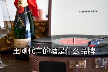 王剛代言的酒是什么品牌