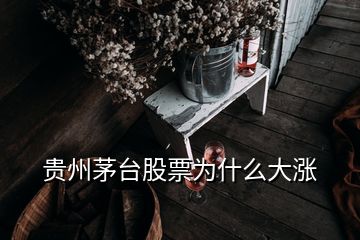 貴州茅臺(tái)股票為什么大漲