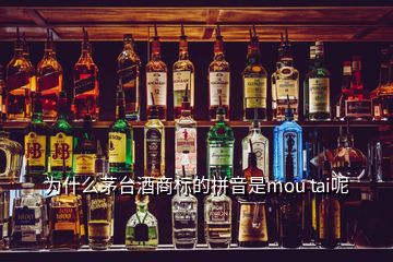 為什么茅臺酒商標(biāo)的拼音是mou tai呢