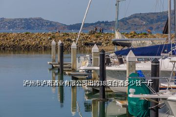 瀘州市瀘南酒業(yè)有限公司出的38度白酒多少錢一斤