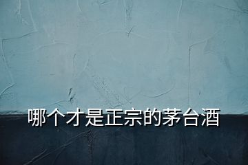 哪個才是正宗的茅臺酒