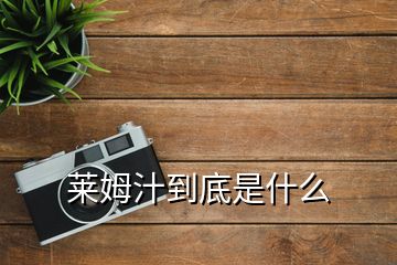 萊姆汁到底是什么