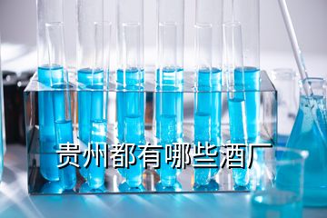 貴州都有哪些酒廠