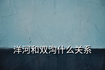 洋河和雙溝什么關系