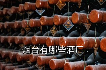 煙臺(tái)有哪些酒廠