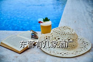 東營(yíng)有幾家酒廠