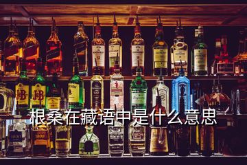 根桑在藏語(yǔ)中是什么意思
