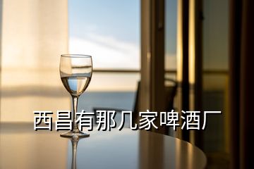 西昌有那幾家啤酒廠