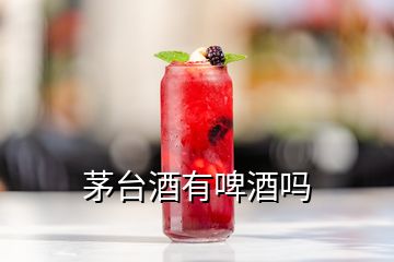 茅臺酒有啤酒嗎