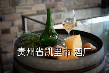 貴州省凱里市 酒廠