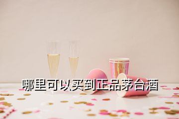 哪里可以買到正品茅臺酒