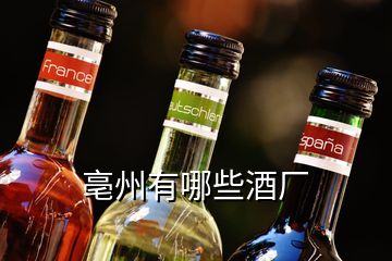 亳州有哪些酒廠