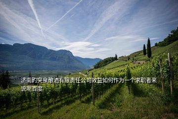 濟南趵突泉釀酒有限責任公司效益如何作為一個求職者來說呢百度