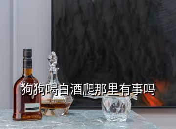 狗狗喝白酒爬那里有事嗎