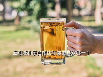 五糧液和茅臺相比較你更喜歡哪一個