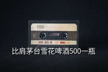 比肩茅臺(tái)雪花啤酒500一瓶