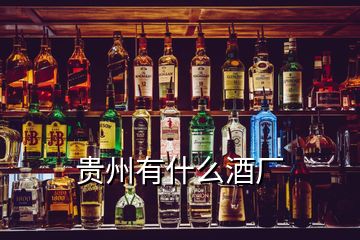 貴州有什么酒廠