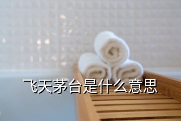 飛天茅臺(tái)是什么意思