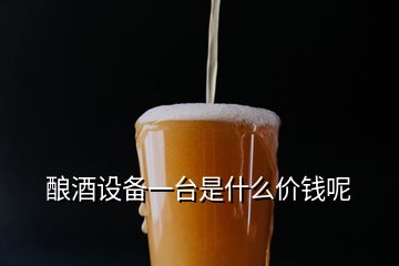 釀酒設備一臺是什么價錢呢