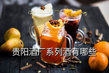 貴陽酒廠系列酒有哪些