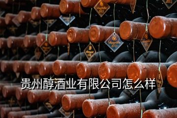 貴州醇酒業(yè)有限公司怎么樣