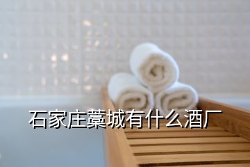 石家莊藁城有什么酒廠