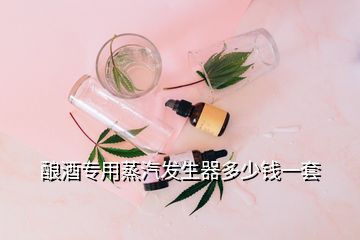 釀酒專用蒸汽發(fā)生器多少錢一套