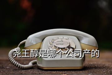 堯王醇是哪個公司產(chǎn)的