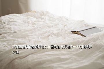 求真正懂行的告訴我北京三里屯酒吧調(diào)酒師一個月能賺多少錢