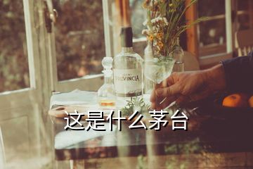 這是什么茅臺