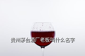 貴州茅臺酒廠老板叫什么名字