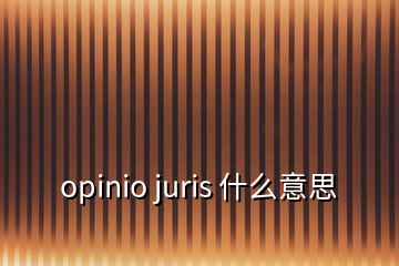 opinio juris 什么意思