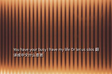 You have your busy I have my life Or let us silos 翻譯成中文什么意思