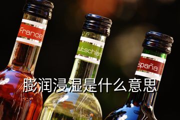 膨潤浸濕是什么意思