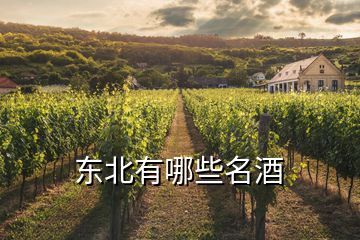 東北有哪些名酒