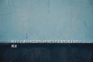 喝半斤白酒5小時(shí)后吹氣53中間打1個(gè)點(diǎn)滴喝1瓶水血檢大概是