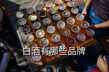 白酒有哪些品牌