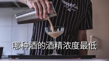 哪種酒的酒精濃度最低