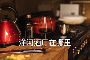 洋河酒廠在哪里