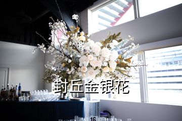 封丘金銀花