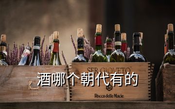 酒哪個(gè)朝代有的